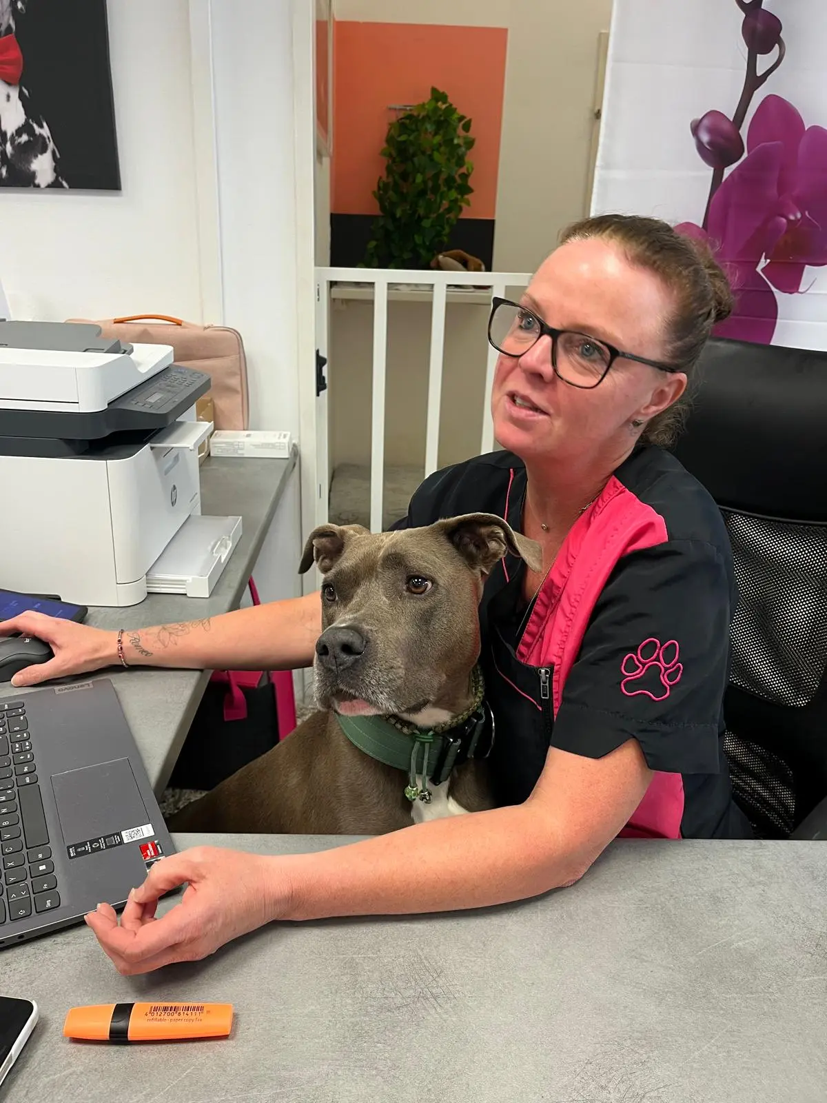 Dogs Spa – dein liebevoller Hundesalon in Gerasdorf bei Wien